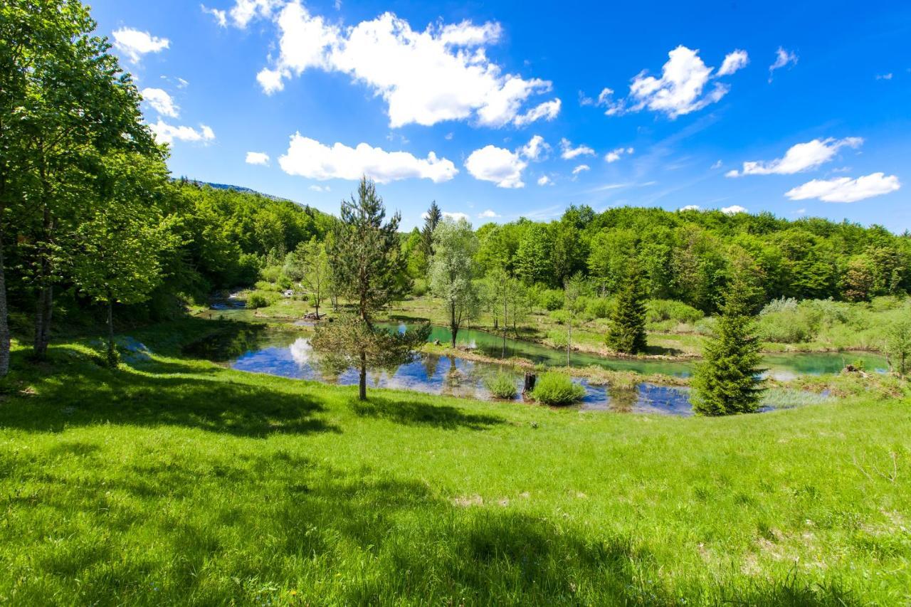 B&B Villa Plitvica Plitvica selo Εξωτερικό φωτογραφία